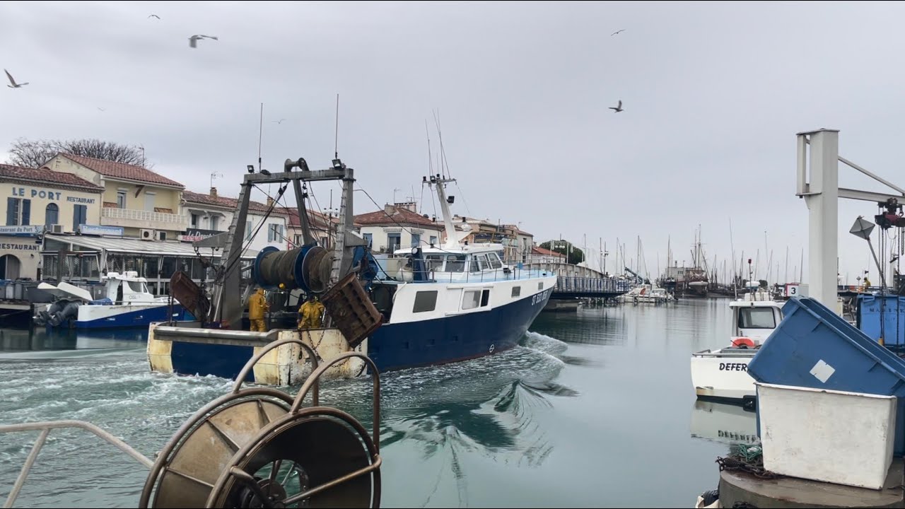 Gard : Le FEAMPA, un boost pour l’économie de la pêche et l’aquaculture du PETR Vidourle Camargue