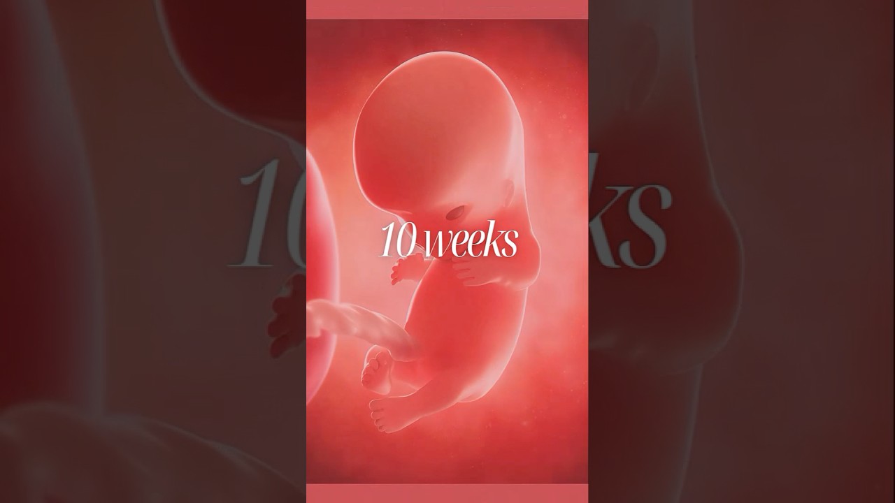 10 weeks pregnant #pregnancyweekbyweek
