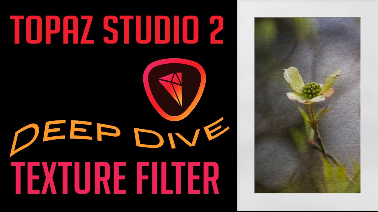 TOPAZ STUDIO 2:Deep Dive (Texture Filter)