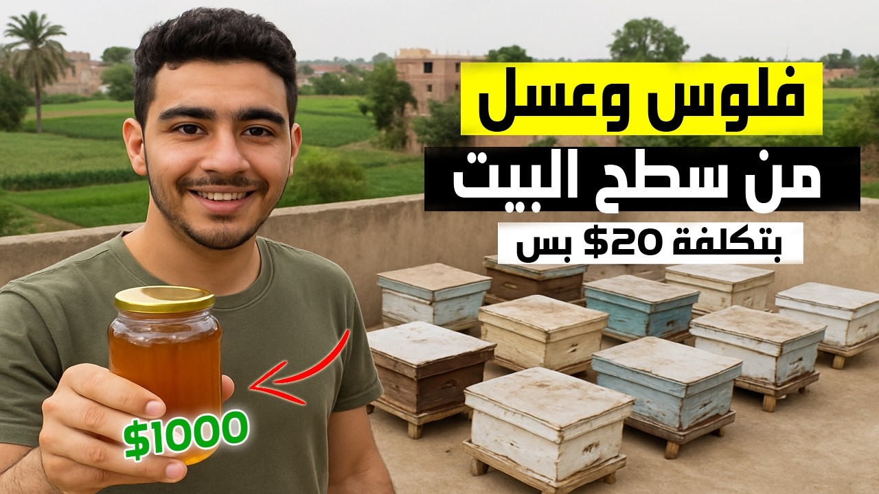 أزاى حولت سطح بيتي لمنحل عسل بـ20$ فقط ! أرباح غير متوقعة🐝💰