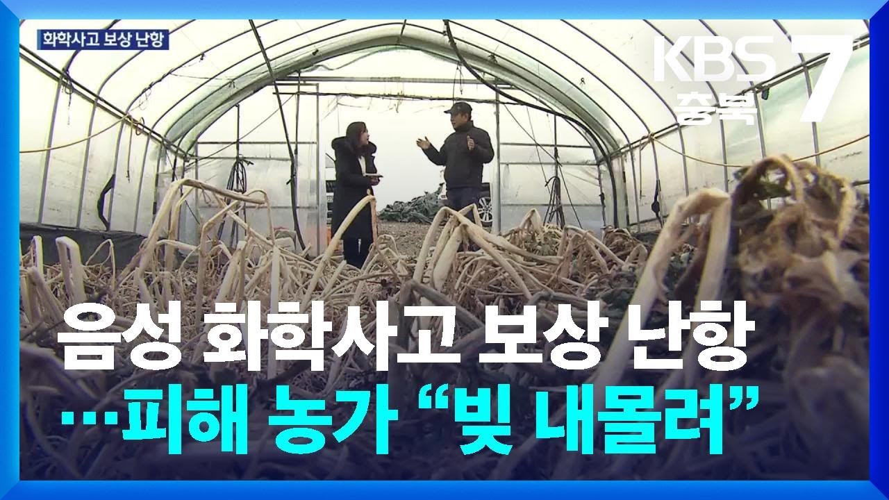 [여기는 충주] 음성 화학사고 보상 난항…피해 농가 “빚 내몰려” / KBS  2026.01.20.