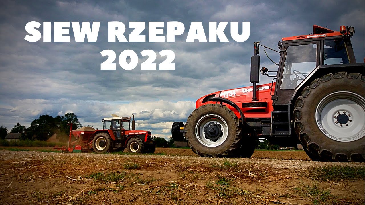 Bezorkowy Siew Rzepaku 2022 !!!  URSUS 1734 ☆ ZTS 16245☆LandStal☆Kverneland Accord !!!  MAŁOPOLSKA ☆