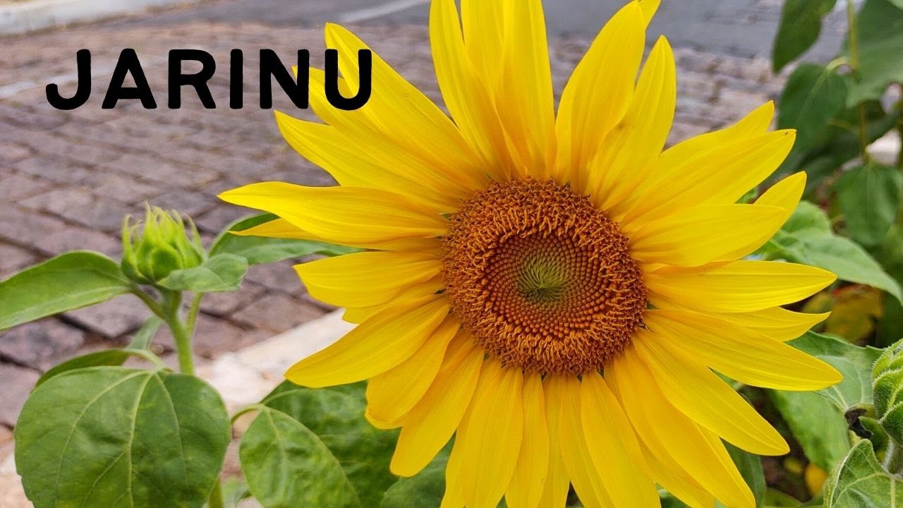 Jarinu SP - Nosso passeio pela cidade de Jarinu SP - 2º Temp Ep 13