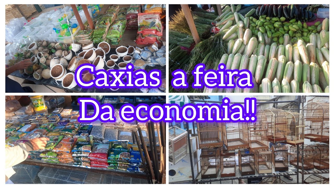 A maior feira de exóticos do Rio de Janeiro Caxias!