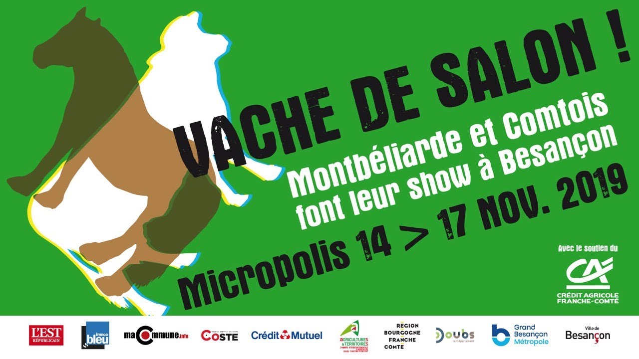 VSD2019. Vendredi 19h00 – 21h00 Catégorie ESPOIRS
