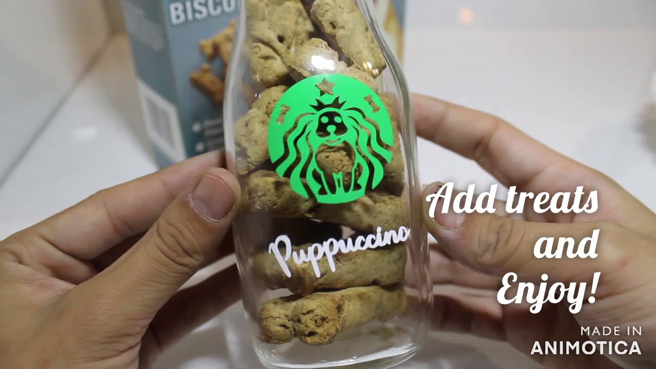 Puppacino video