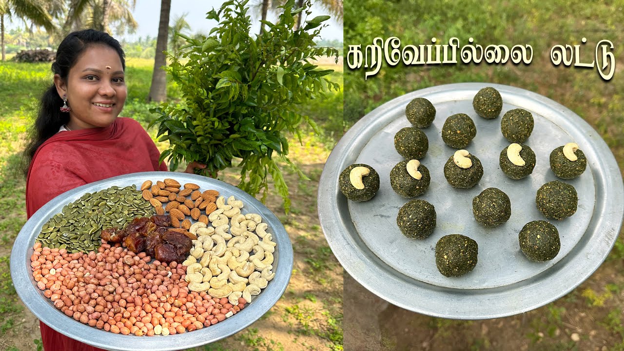 CURRY LEAVES LADDU 🌿 ஒரு லட்டு… பல ஆரோக்கிய நன்மைகள்! கருவேப்பிலை லட்டு 😋 Karuvepillai Laddu 👌
