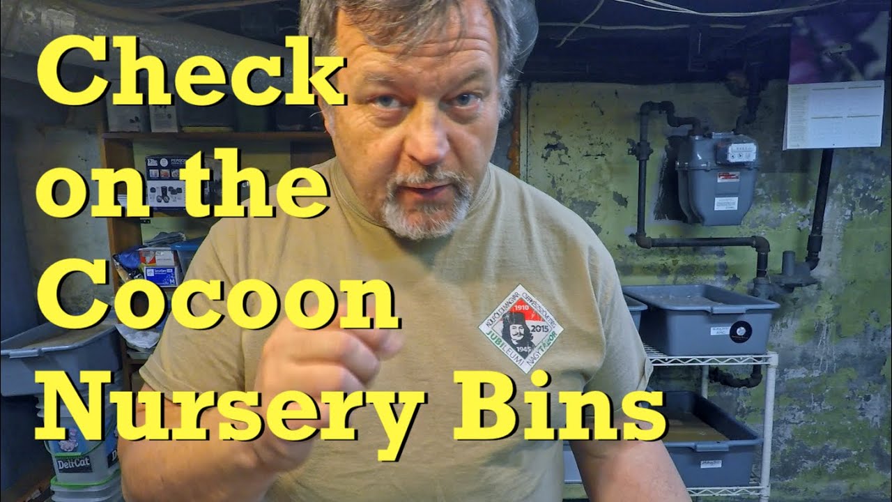 Worm cocoon nursery bins roundup - vermicompost