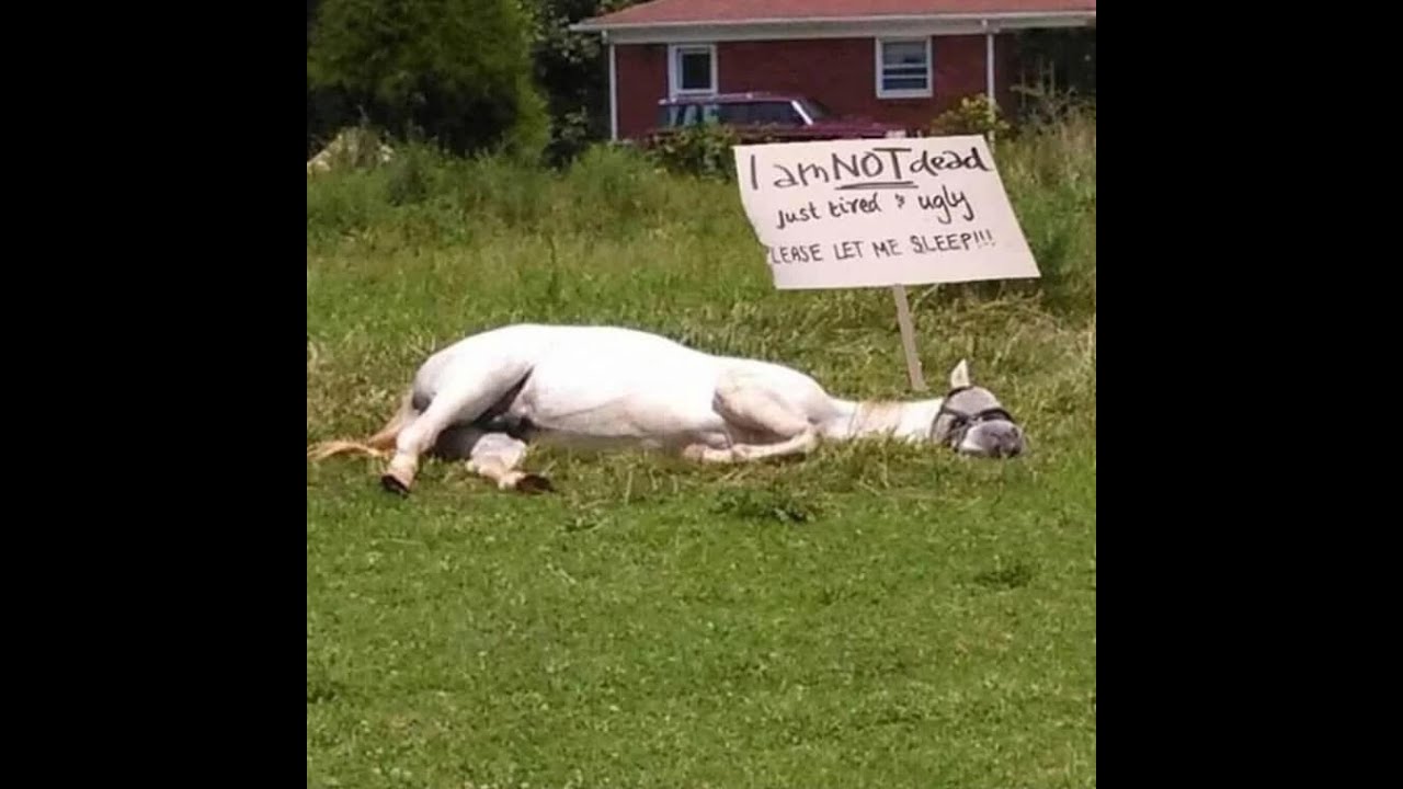 Funny & Hilarious Signs From Around The World To Laugh At!! Part 19