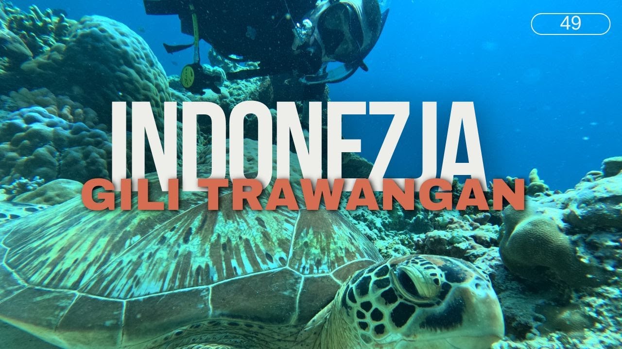 Indonezja - Gili Trawangan || nie mamy gdzie spać, idziemy nurkować