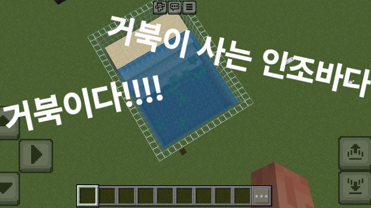 인조 바다를 만들고 거북이를?!