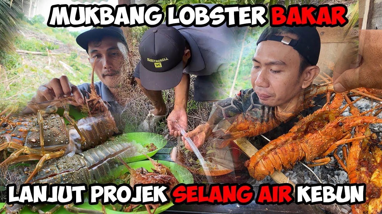 Lobster Bakar Mantap Masak & Makan Di Kebun