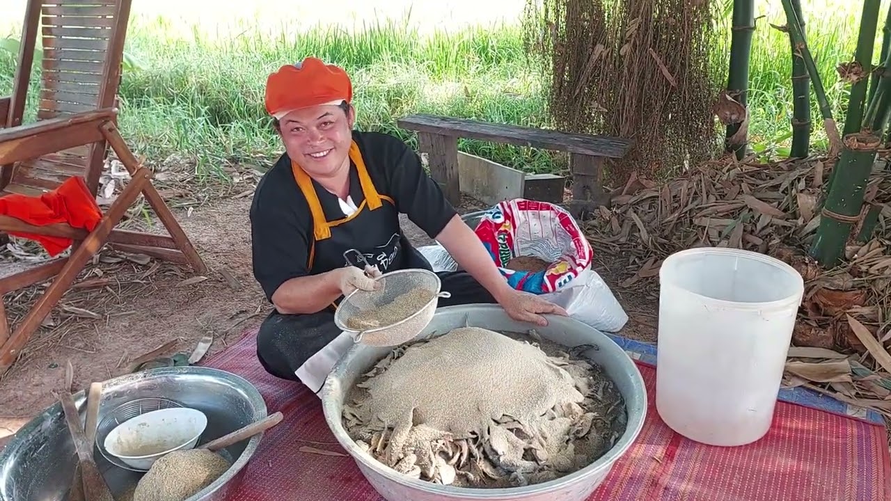 วิธีหมักปลาร้าแบบดังเดิมสูตรบ้านสาวเฉิ่มของกินที่อยู่คู่ทุกครัวเรือน