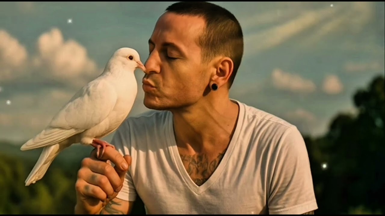 Chester: Stay (Ai Song)