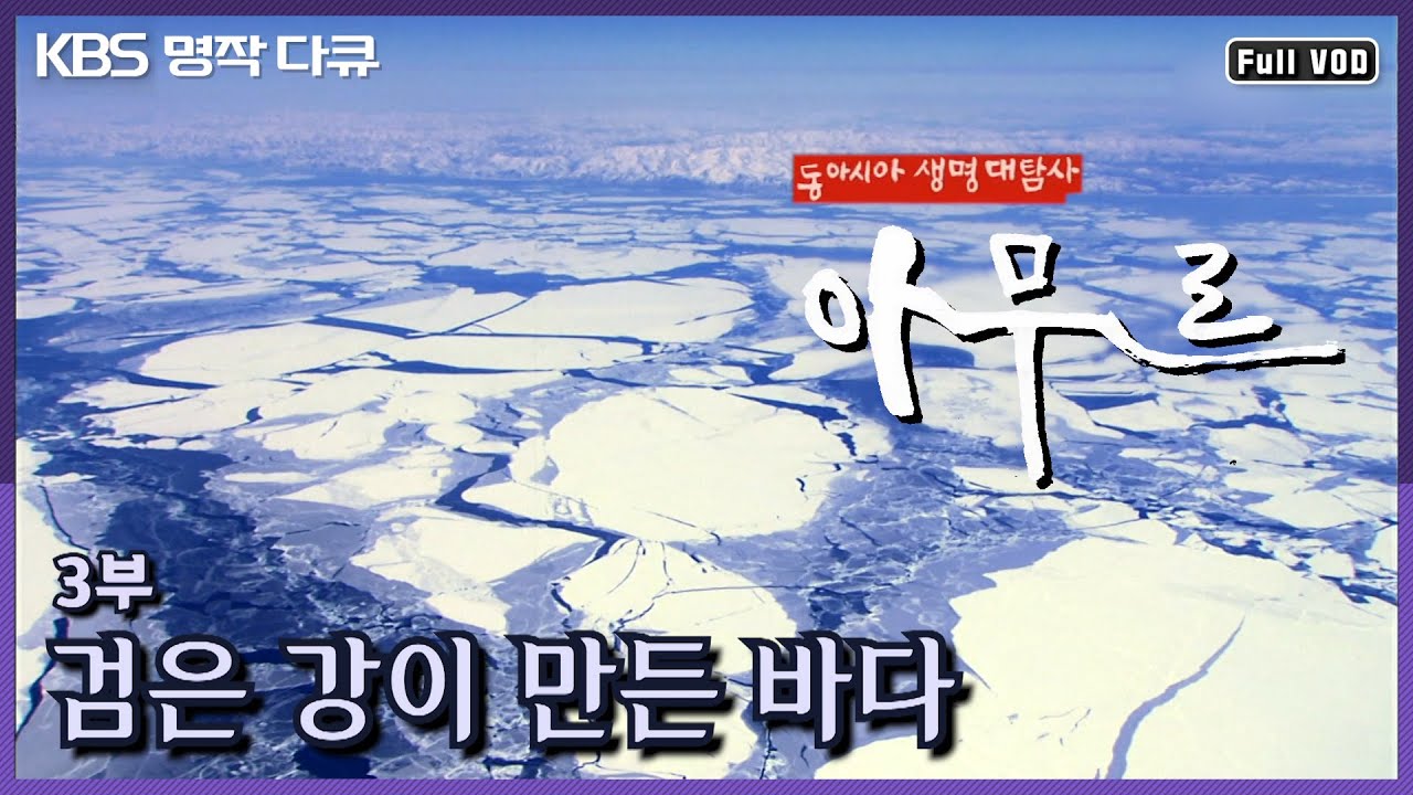 [명작다큐🎖️] 동아시아 생명대탐사 '아무르 Amur' | 3부 검은 강이 만든 바다 (KBS 2011.04.13 방송)