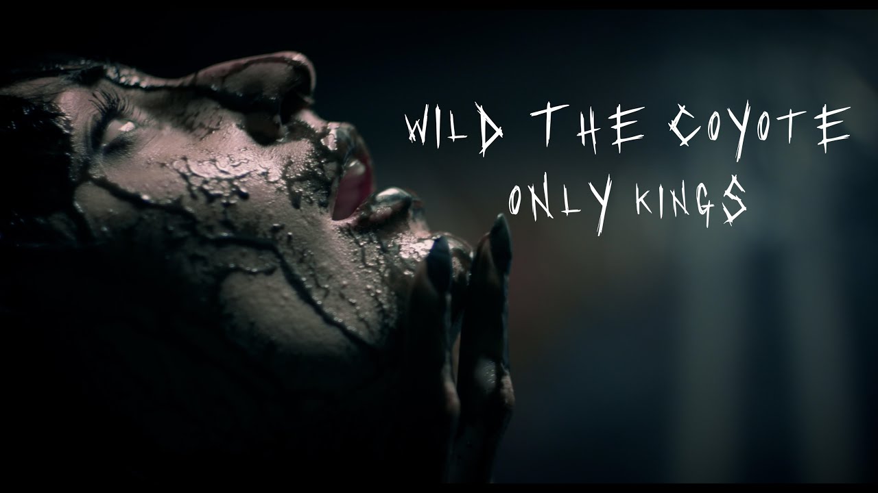 Wild the Coyote - 
