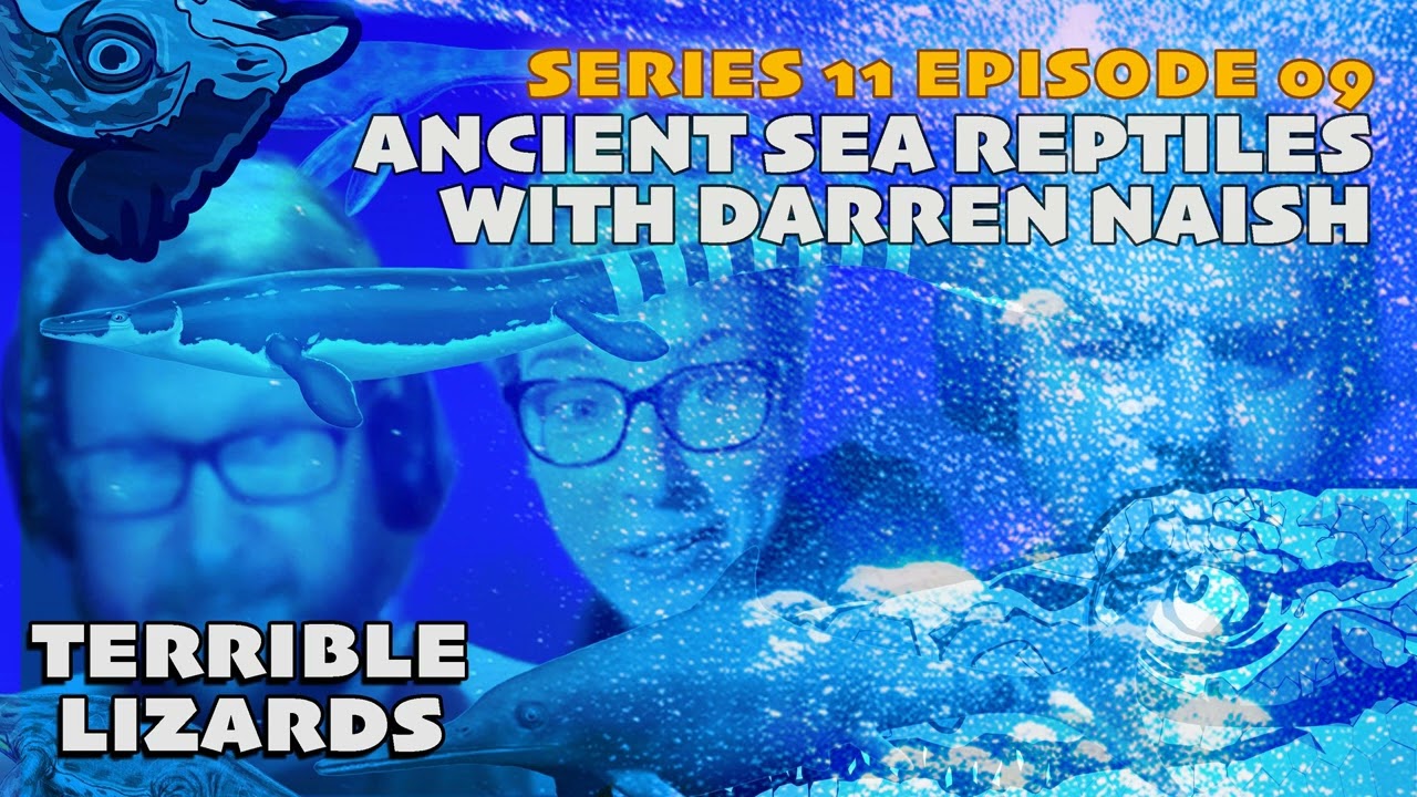 TLS11E09 Ancient Sea Reptiles