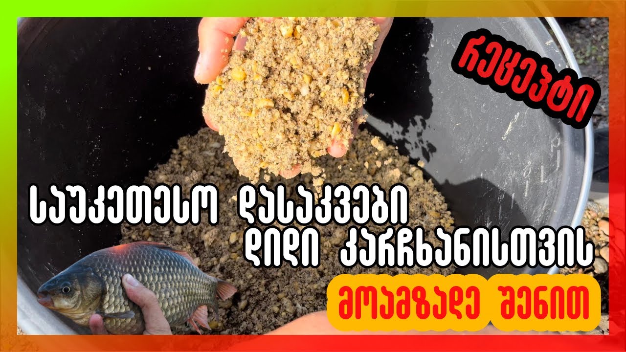 საუკეთესო დასაკვები დიდი კარჩხანისთვის | რეცეპტი | შედეგი | სახლის პირობებში