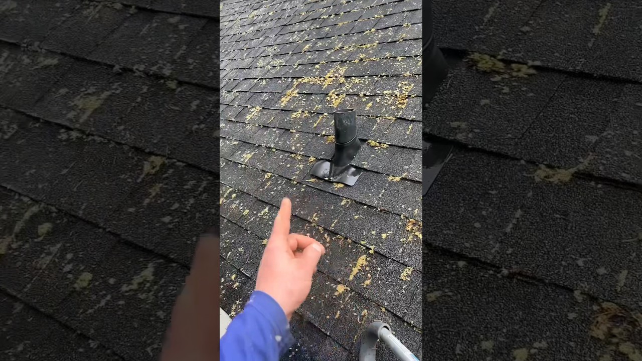 Chlorine Roof Cleaning Treatment | Seattle ProWash #christmasdecorations #gutter cleaning