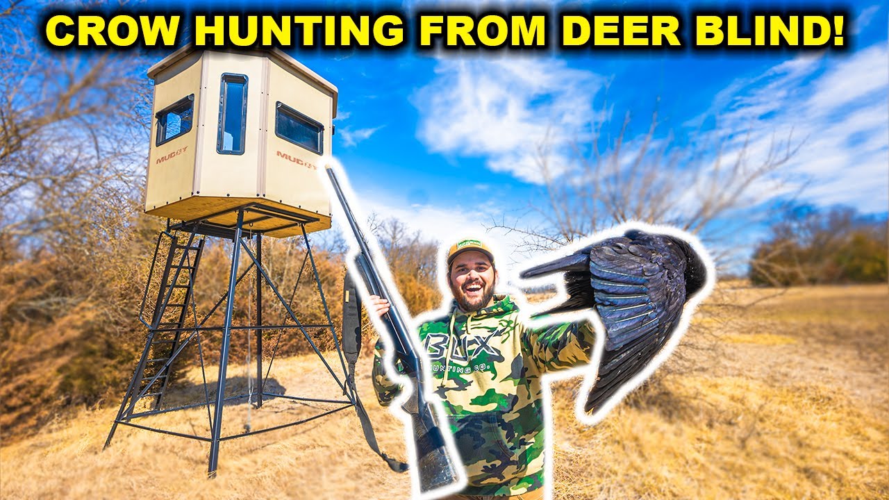 CROW Hunting from a DEER TOWER BLIND at My RANCH!!! (Catch Clean Cook)