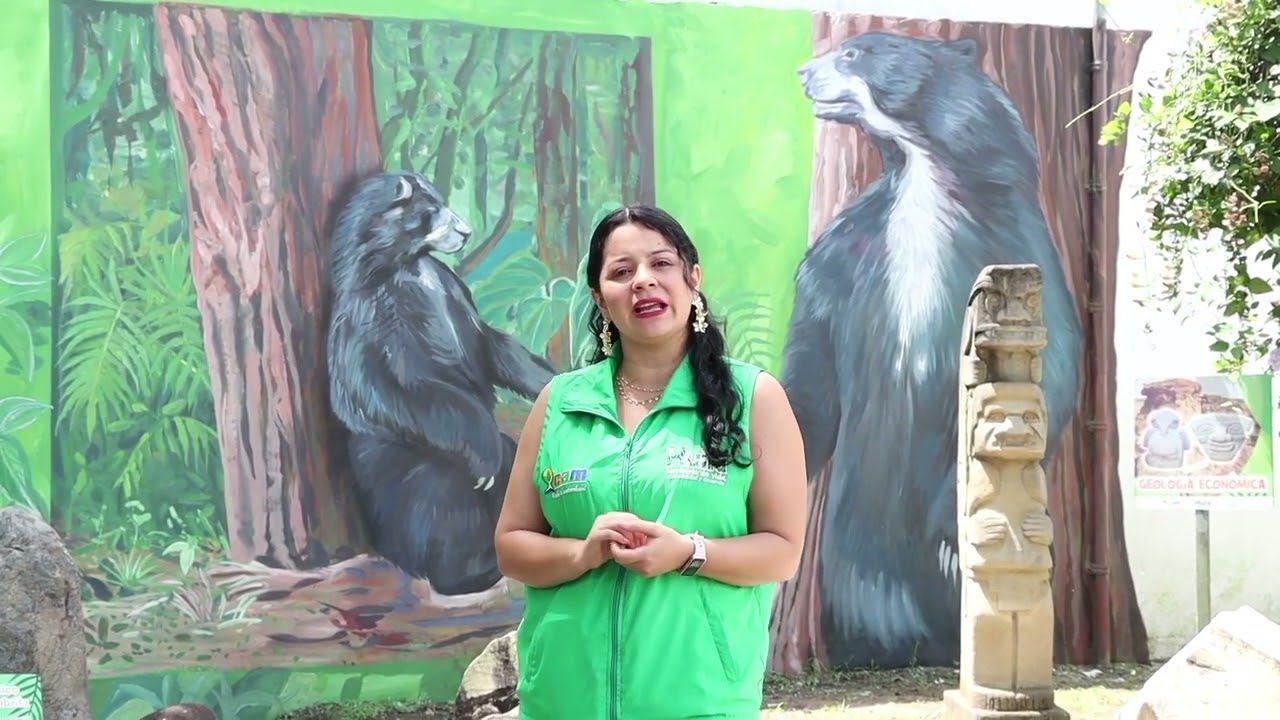 Avistan oso de anteojos por primera vez en Huila | Enlace Trece