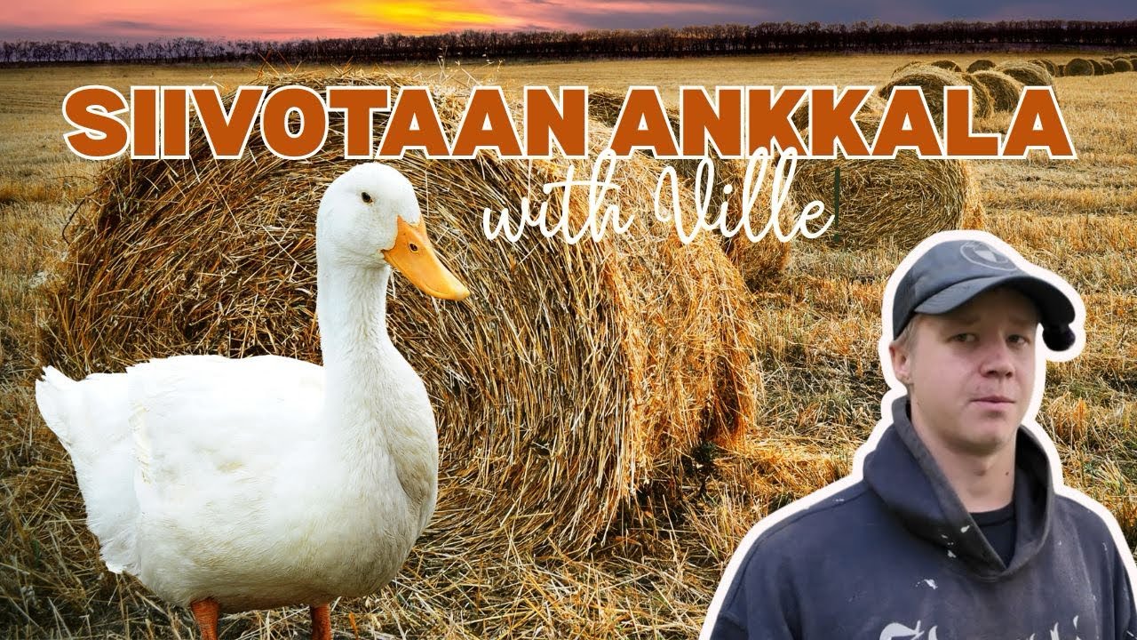 Maatilan hommia 🚜🌾Siivotaan ankkala! 🦆