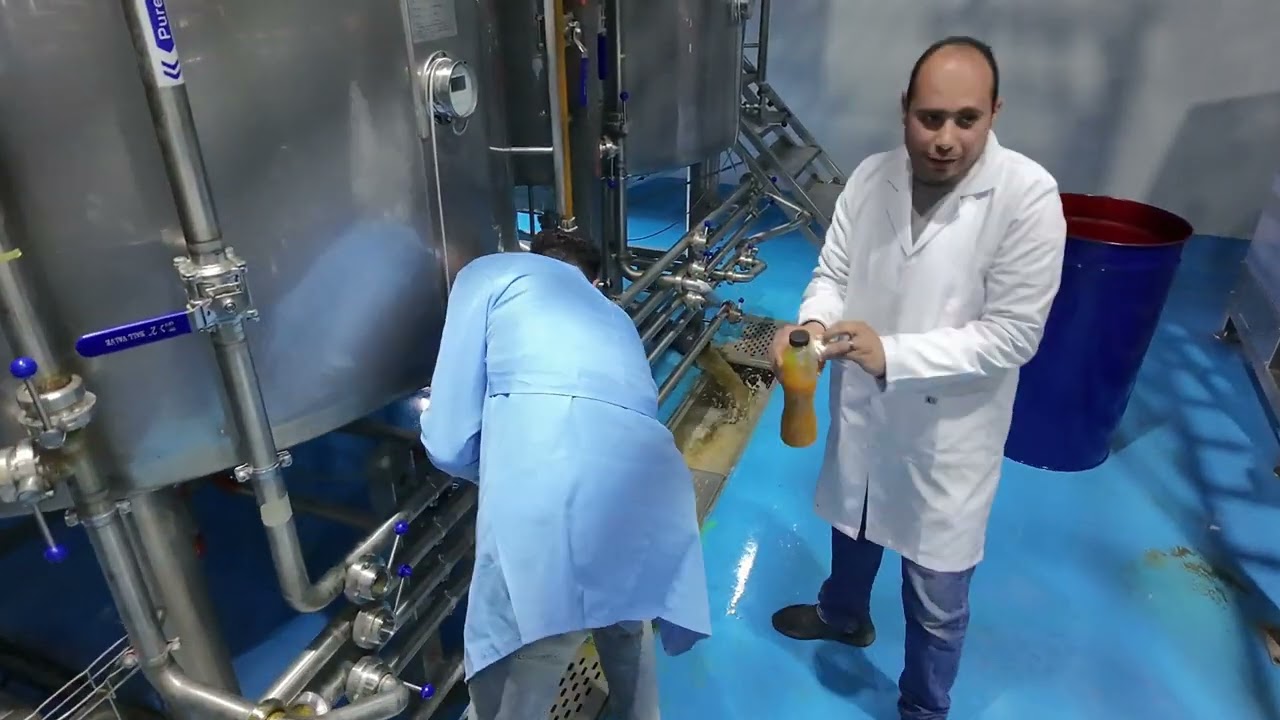 Egypt orange concentrated juice factory 