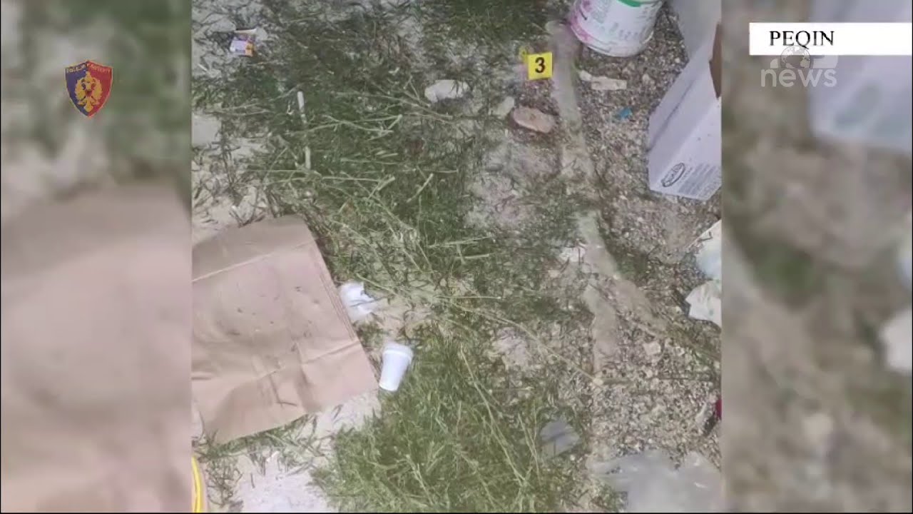 Top News/ Hashashi, biznes familjar në Peqin / Mbollën bimët në oborr, arrestohen pesë persona