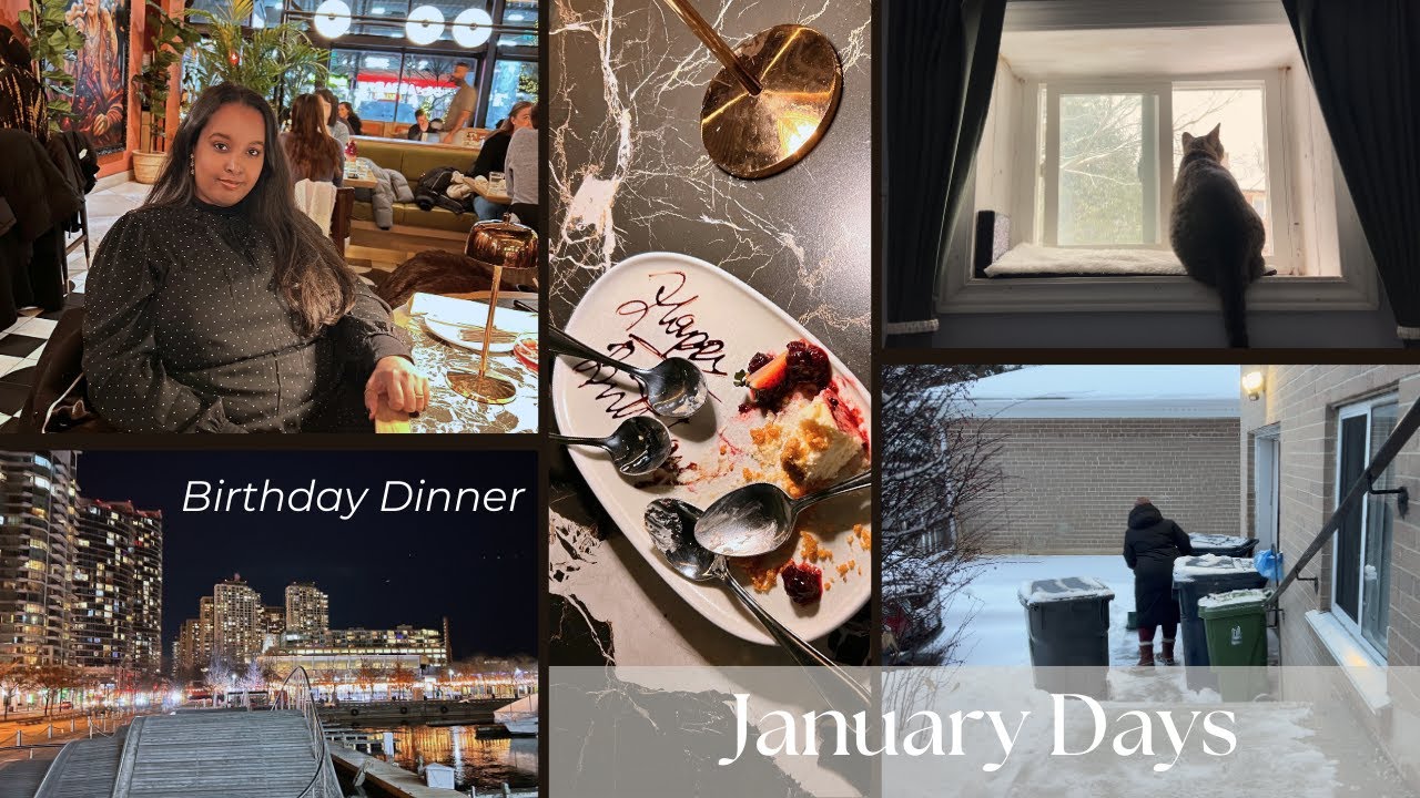 Slow Winter Days | Outings, Winter Maintenance, Homemade Ginger Shots, & Birthday Dinner