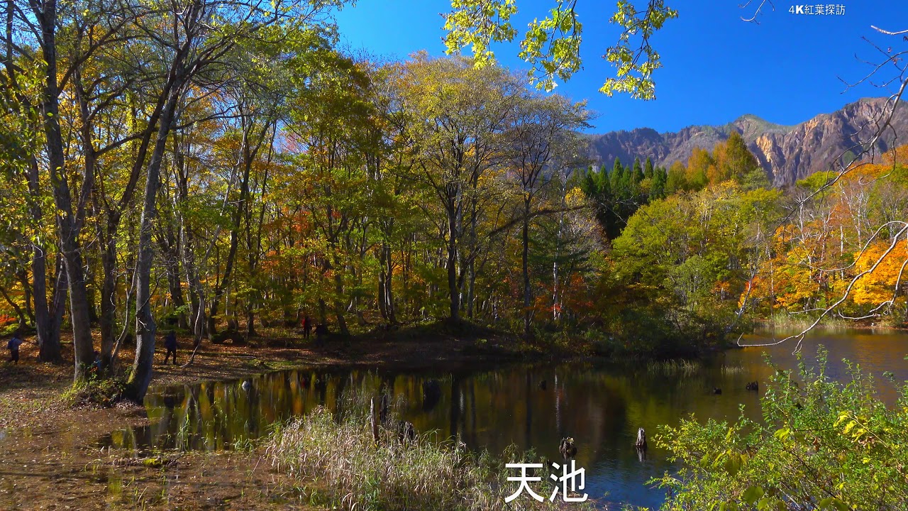 4k 秋山郷の紅葉