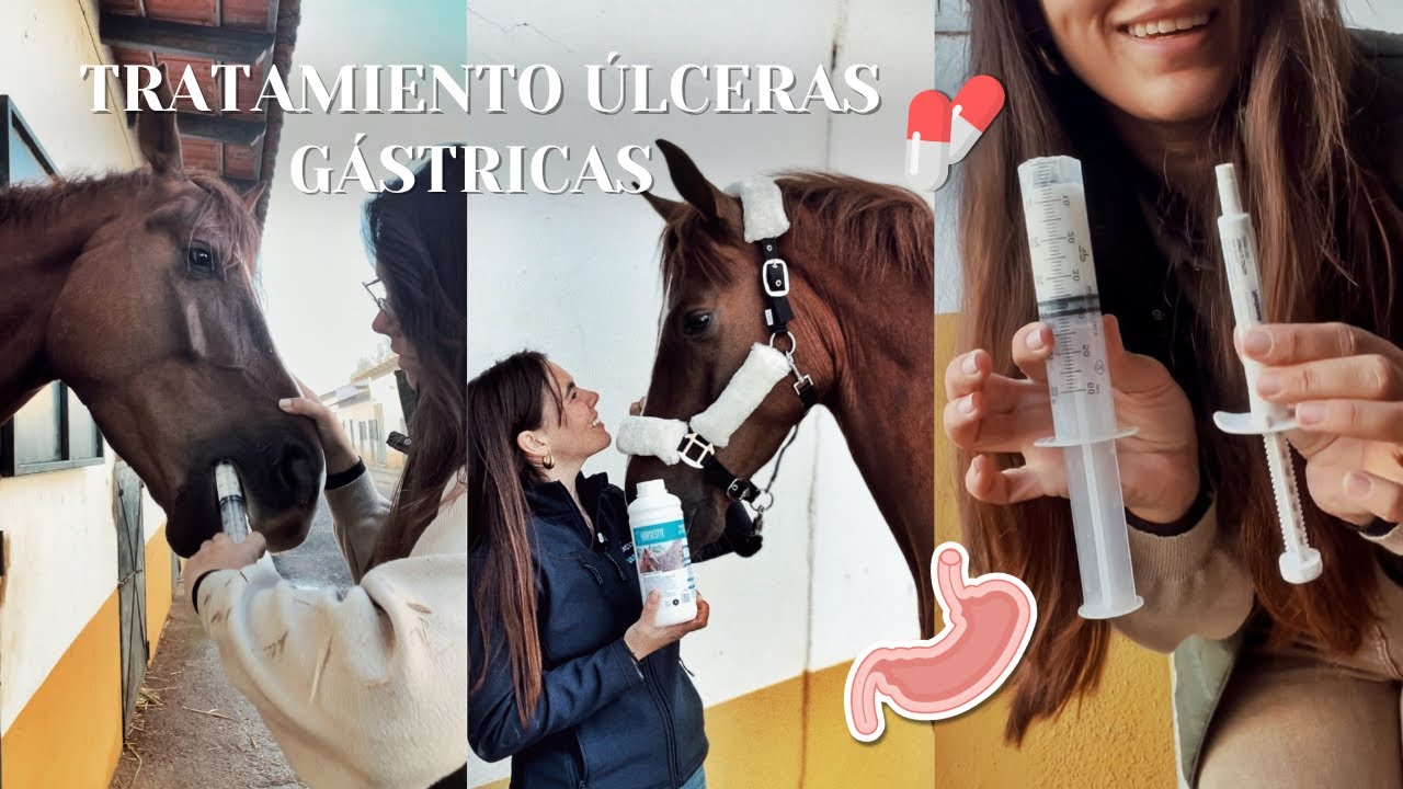 TRATAMIENTO de Yuqui para ÚLCERAS GÁSTRICAS💊