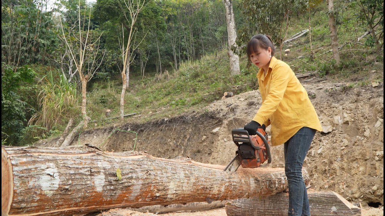 To build a sturdy barn, Binh prepared a lot of wood