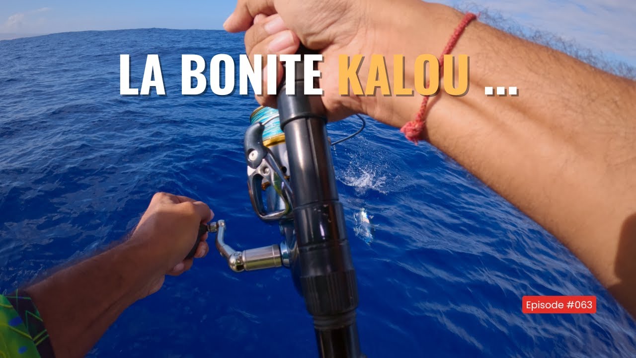 La BONITE KALOU : le petit poisson qui TE MET LA MISÈRE ! 🤣🐟