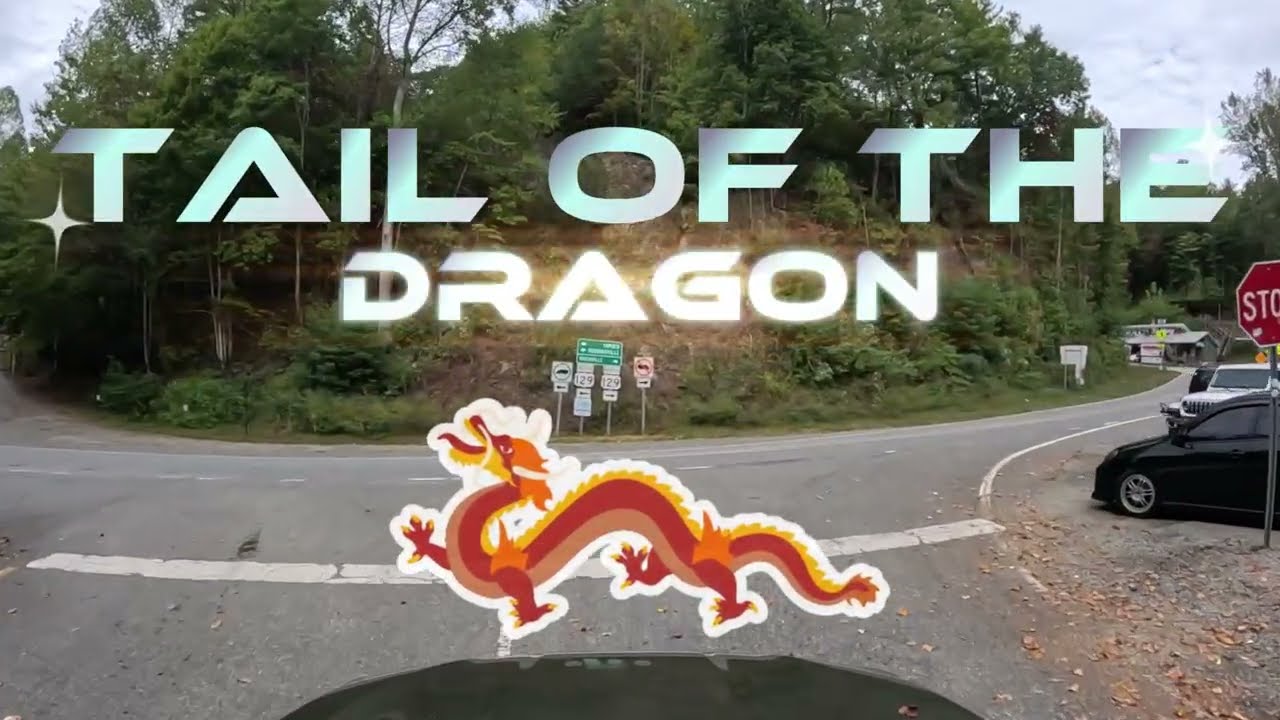 TAIL OF THE DRAGON a curve by curve view of Americas most iconic 11 miles