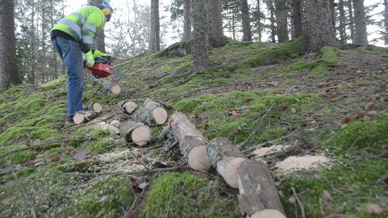 Testing Day ! Husqvarna 263 CD, Jonsered 490, Stihl 020 AVP  Part 4.