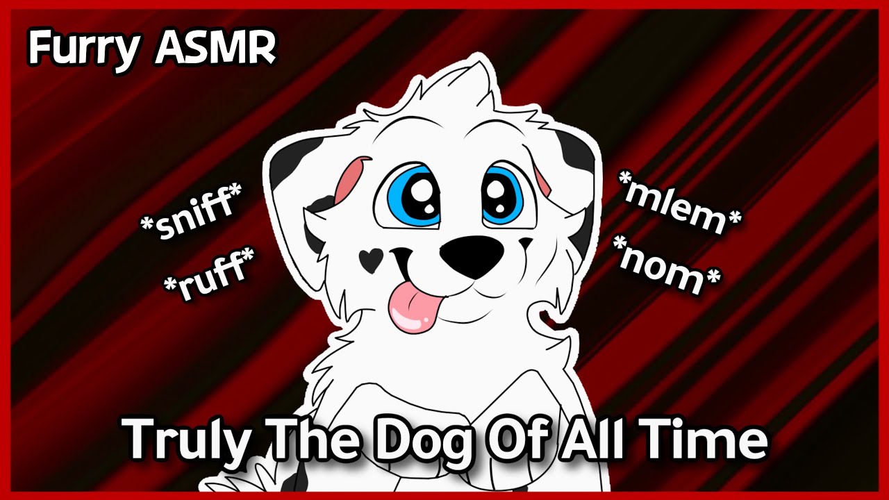 [Furry ASMR] Curious Dog Wants Your Attention 🐾 