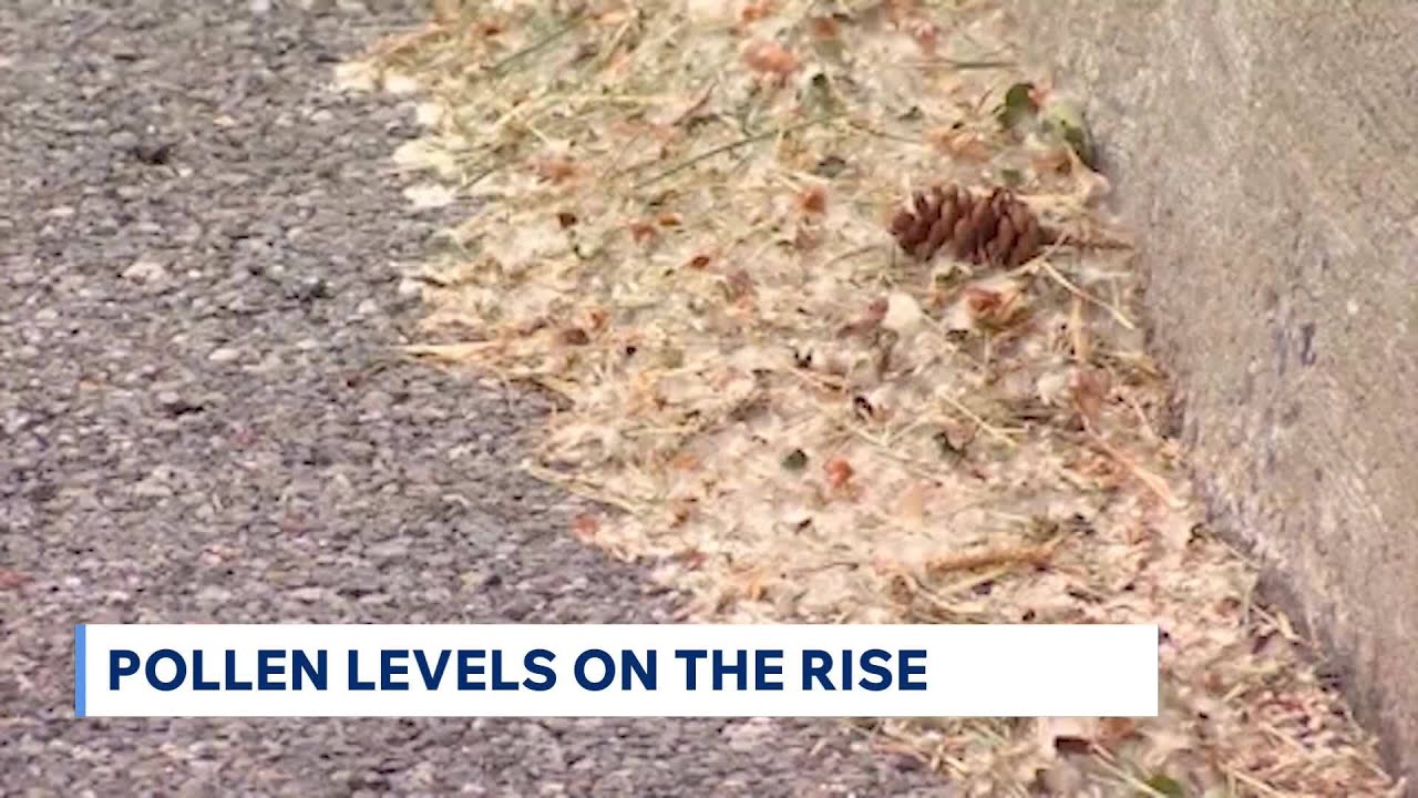 Pollen and Allergy Season is Here