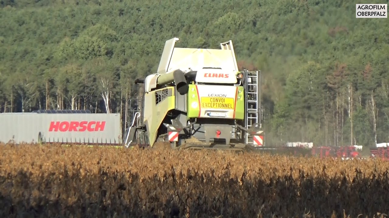 Soja dreschen mit Claas Lexion 7500 Terra Trac - Claas Convio 930 - Maschinengemeinschaft Schwandorf