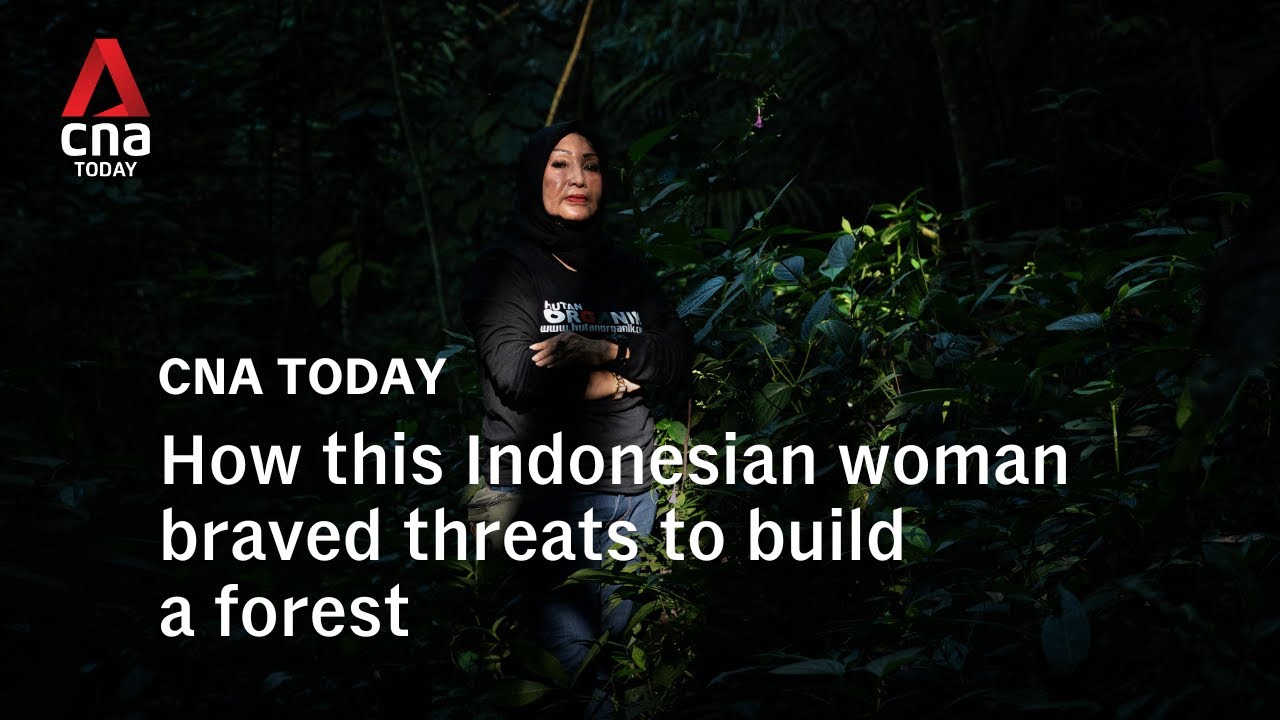 How this woman braved threats to build a forest that now has 44,000 trees