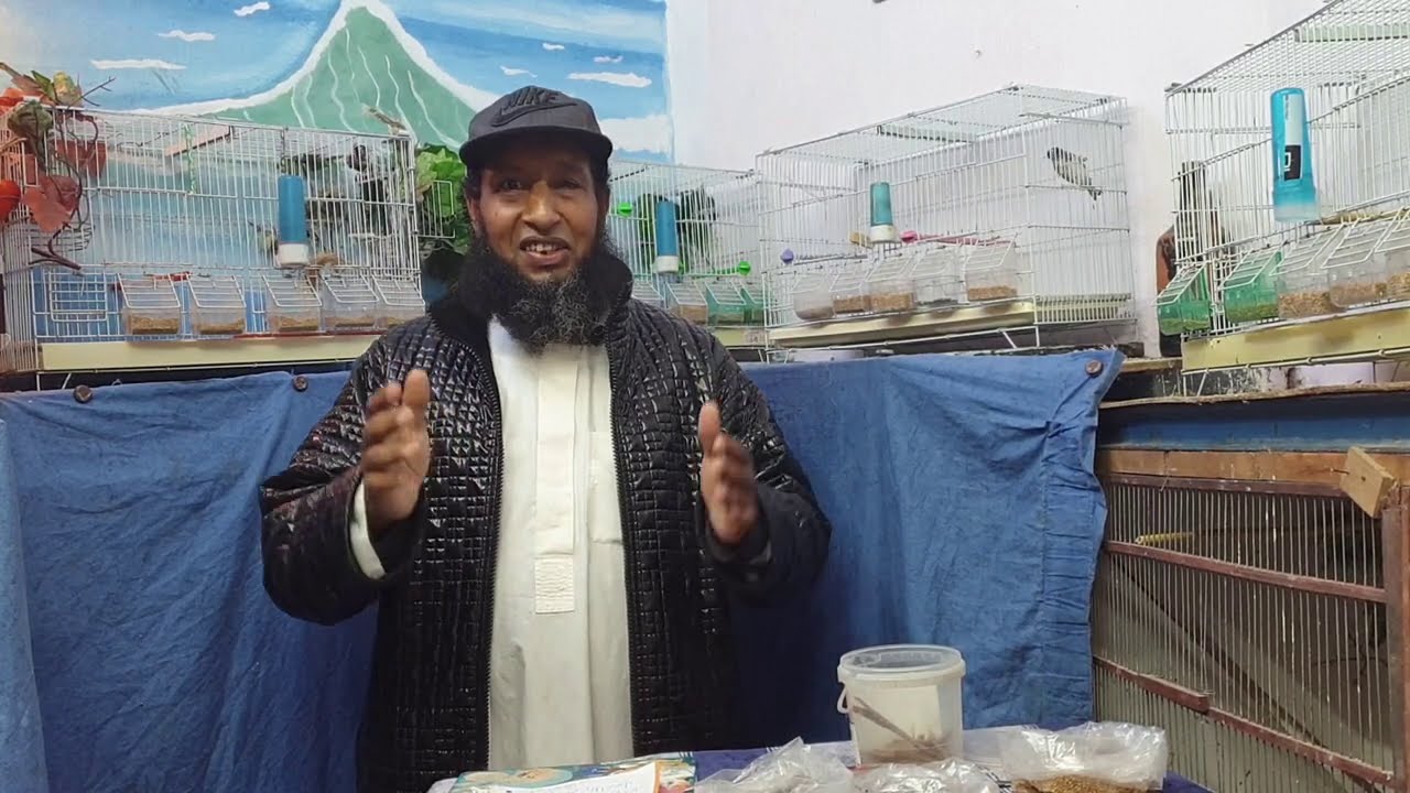 من اسرار انتاج الطيورفي فصل الشتاء