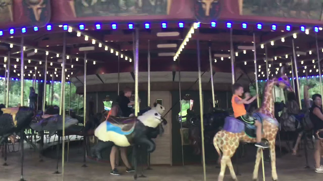 Carousel at the Denver Zoo