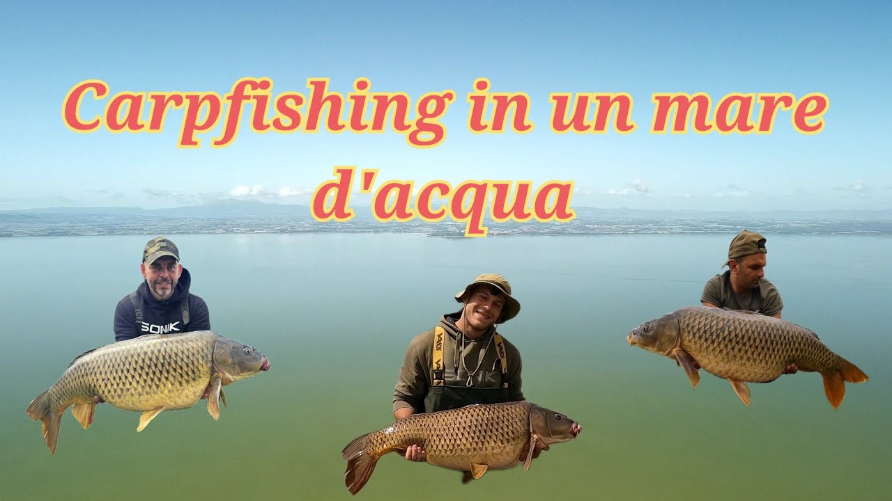 Carpfishing in un mare d'acqua 🌊 🌊 🌊 🌊