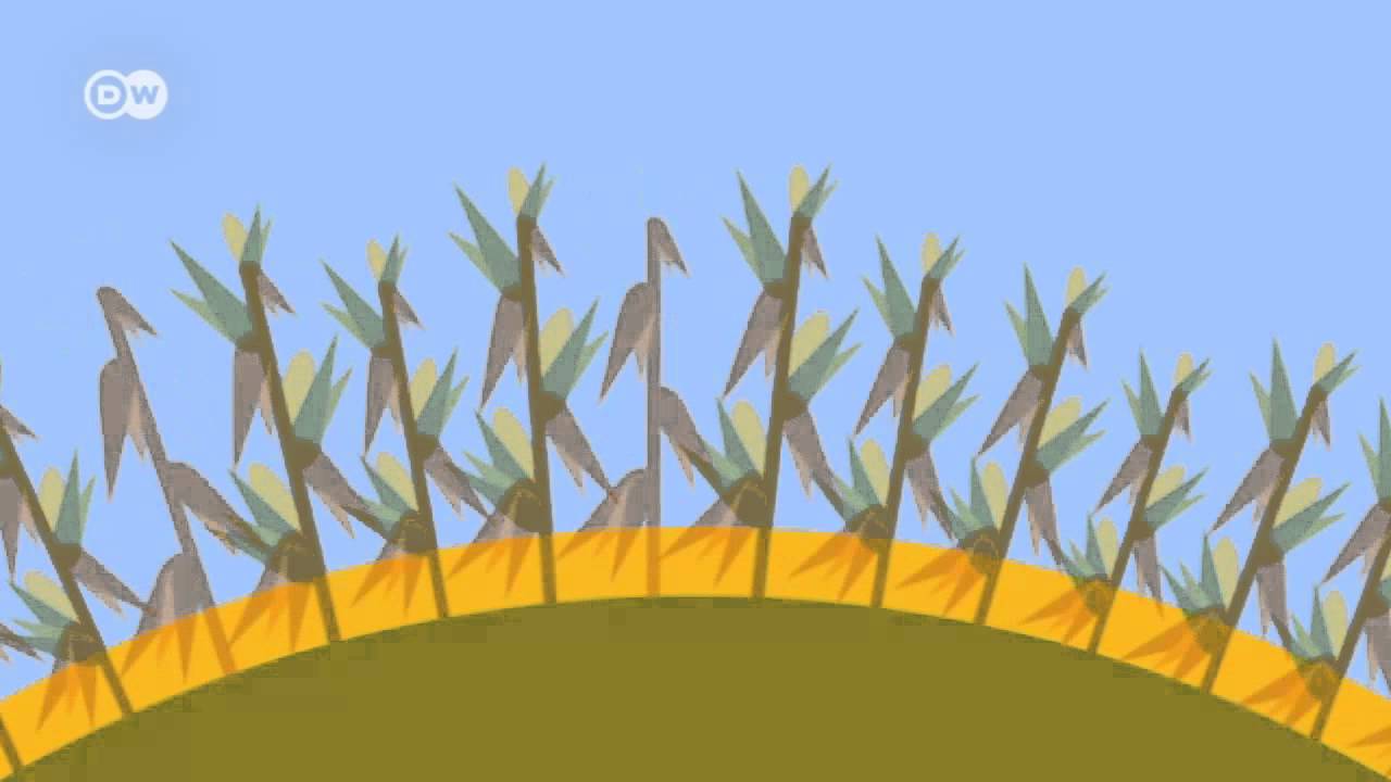 Ist der Klimawandel ein Sicherheitsrisiko? | Global Ideas
