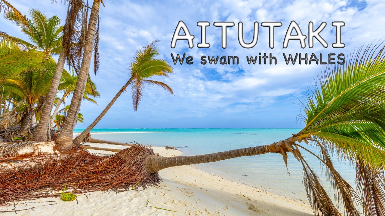 Unreal Cook Islands Experience! Aitutaki - Swimming With Humpback Whales + Lagoon Tour. Ep 1 of 3