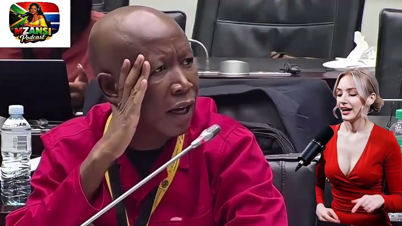 EXPLOSIVE CONFRONTATION; Julius Malema Destroys Arrogant Paul O’Sullivan In Just 60 Seconds 