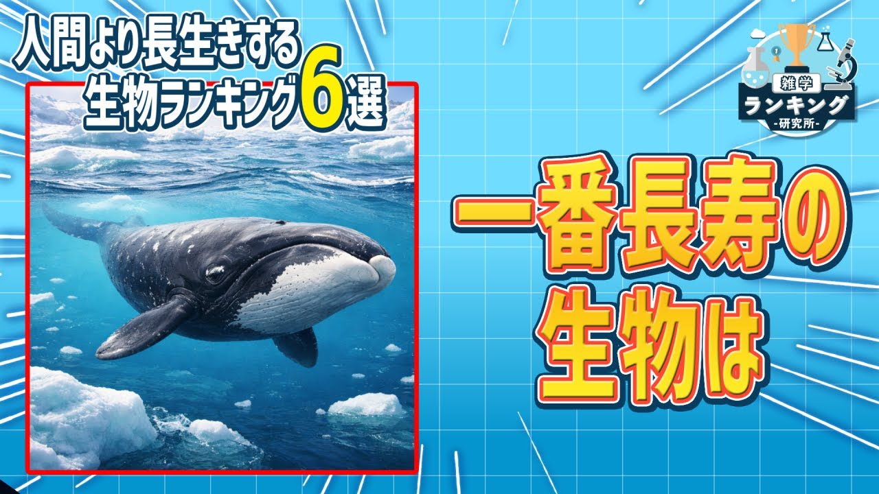 人間よりも長生きする生物のそれぞれの寿命の長さと生態に隠された共通点
