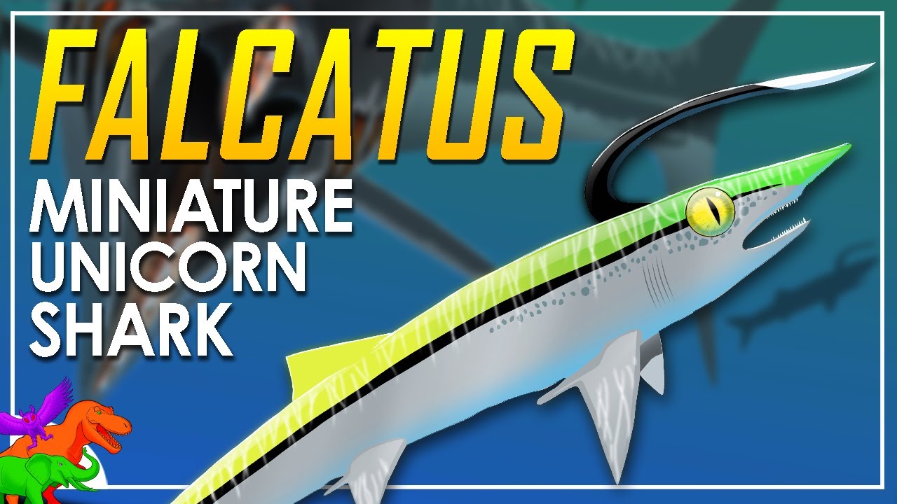 Falcatus | The Prehistoric Unicorn Sharks
