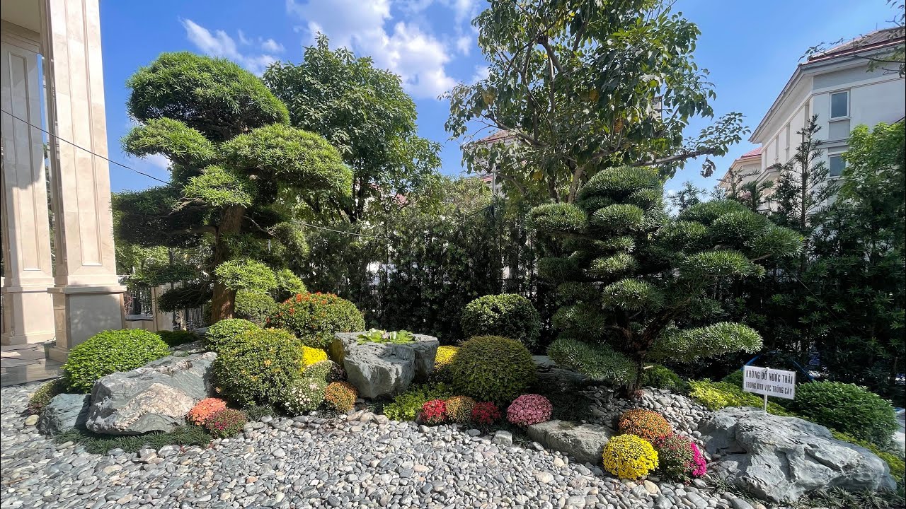 CHÚT SẮC XUÂN CHO SÂN VỪƠN BIỆT THỰ Ở Q2 . Ngày 23/1/2026