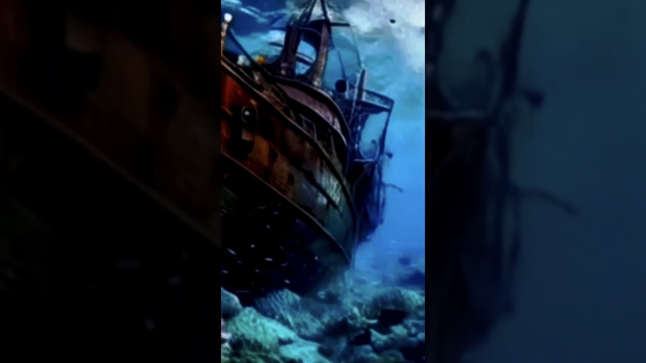 Marina Frolova - Sea ​​world. Floating Dreamscape Visuals & Relaxing Music 