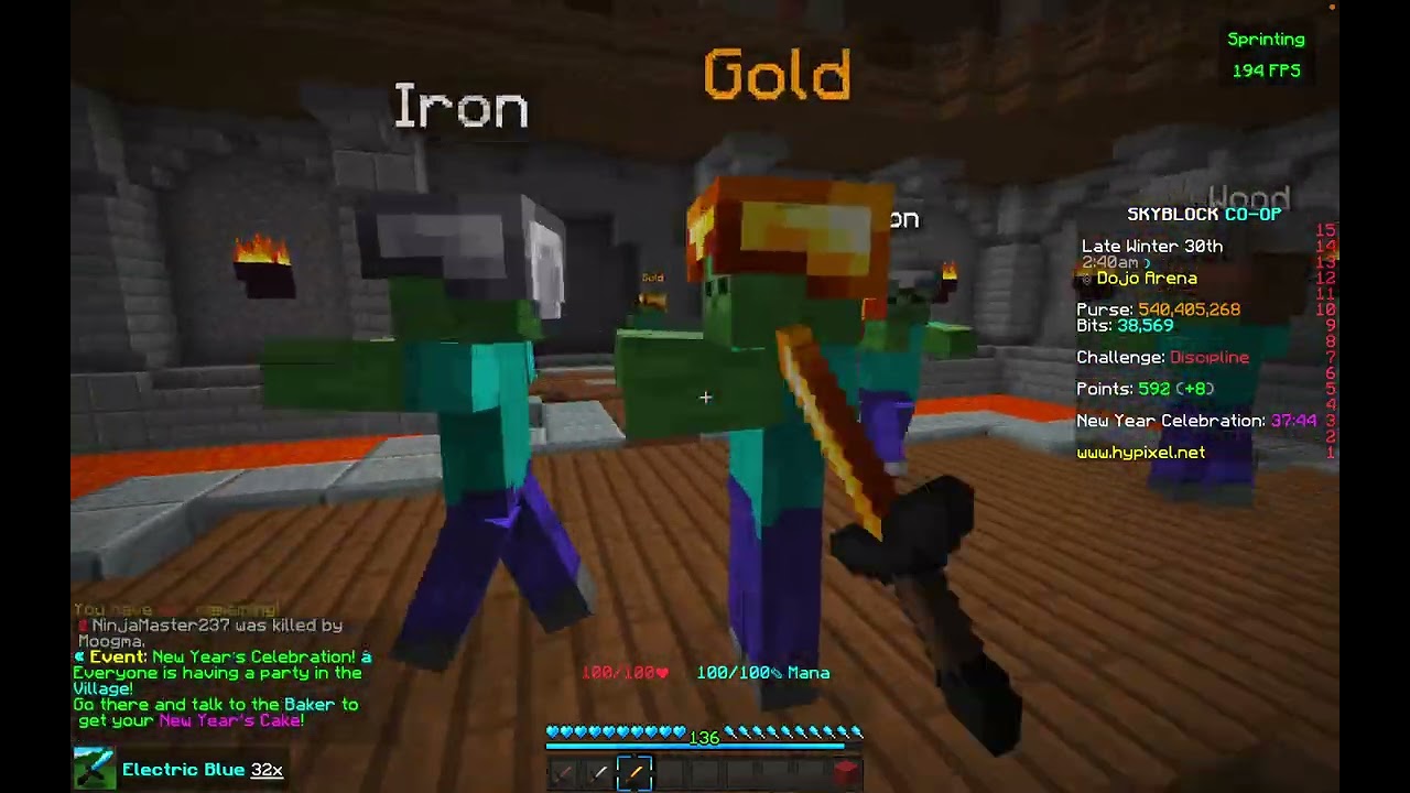 Discipline S | Hypixel Skyblock Dojo